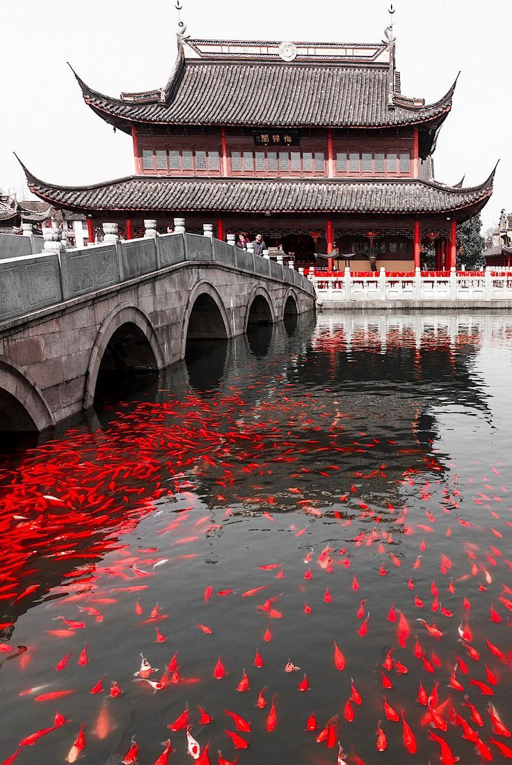 ASIA